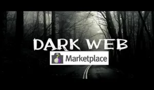 Dark Web Markets 2025 – How to access them?