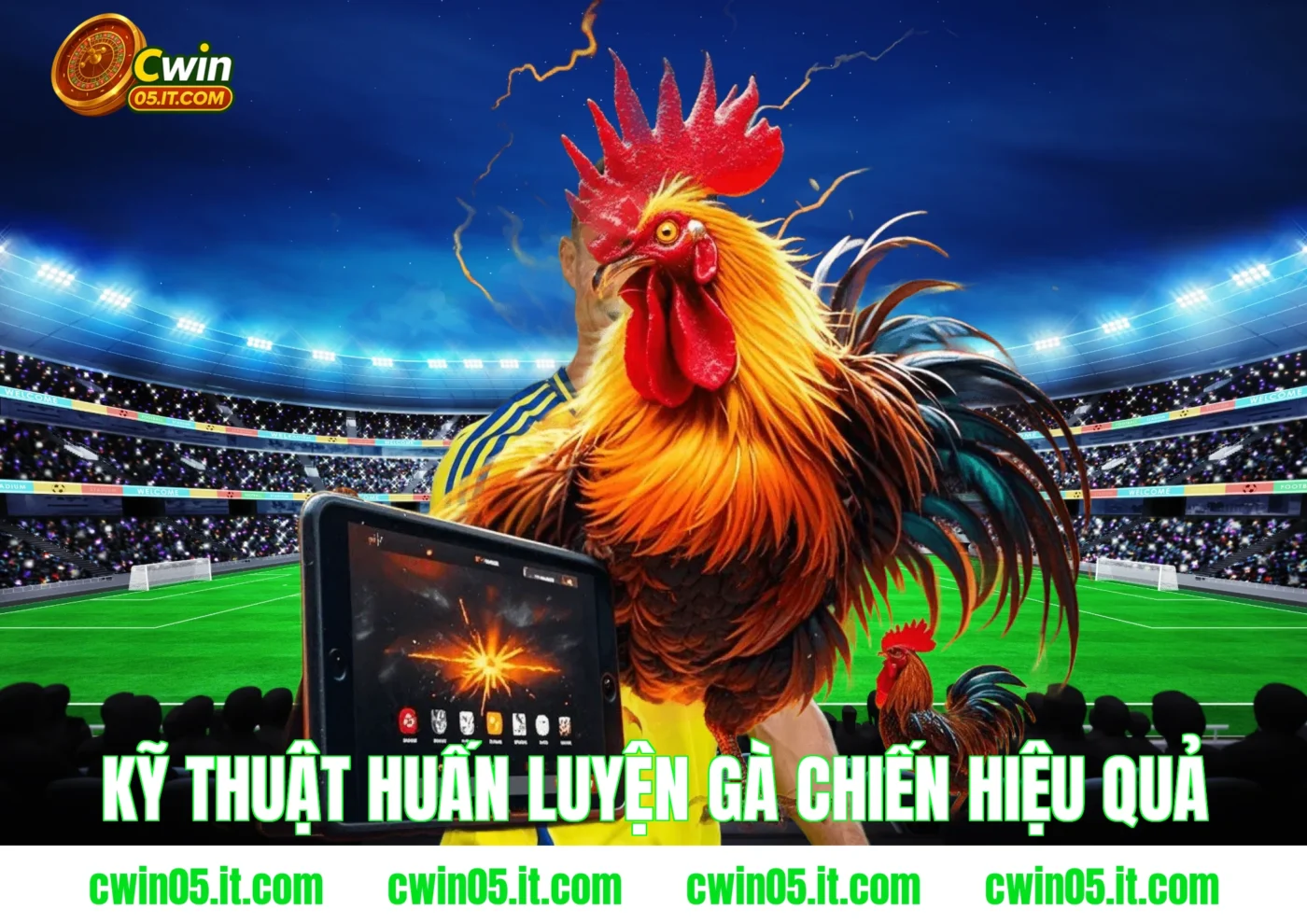Kỹ thuật huấn luyện gà chiến hiệu quả tại Cwin