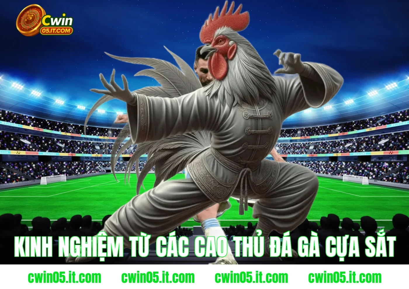 Kinh nghiệm từ các cao thủ đá gà cựa sắt